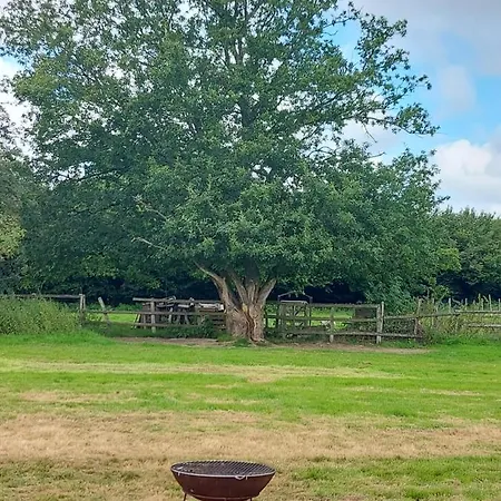 Pitch Your Own Tent In Beautiful Location Kent Sussex Border Wadhurst Exterior photo