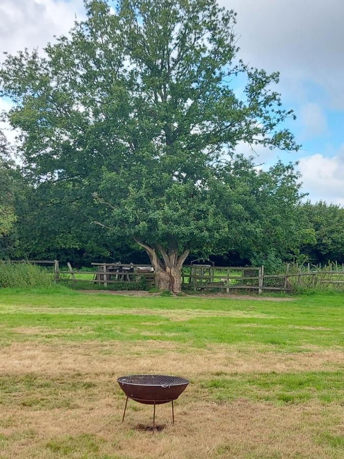 Pitch Your Own Tent In Beautiful Location Kent Sussex Border *
