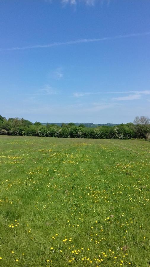Campsite Pitch Your Own Tent In Beautiful Location Kent Sussex Border
