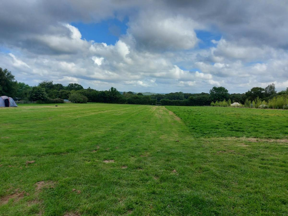 Campsite Pitch Your Own Tent In Beautiful Location Kent Sussex Border Wadhurst