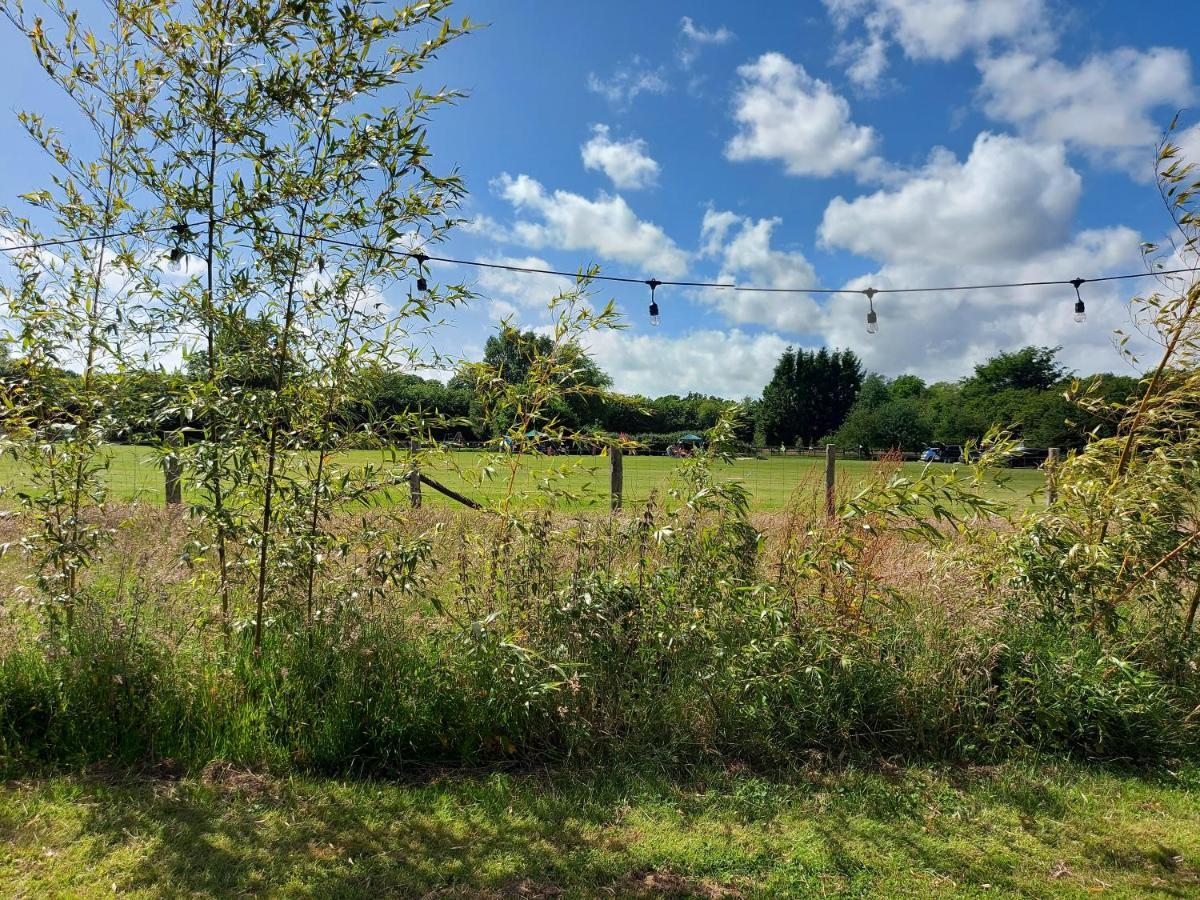 Campsite Pitch Your Own Tent In Beautiful Location Kent Sussex Border