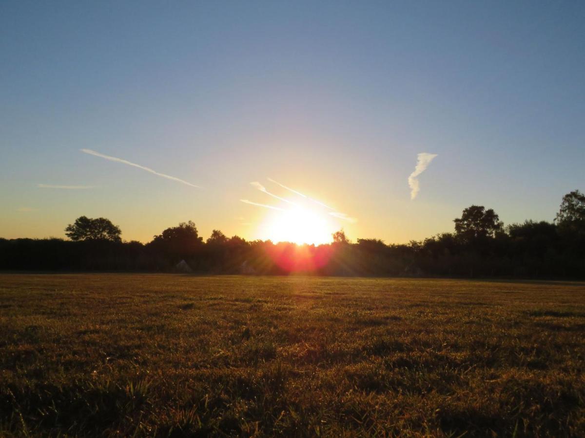 Pitch Your Own Tent In Beautiful Location Kent Sussex Border Campsite Wadhurst